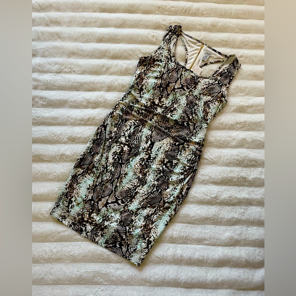 Caché Dress.